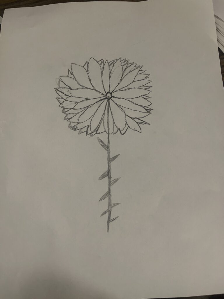 118752290893_image